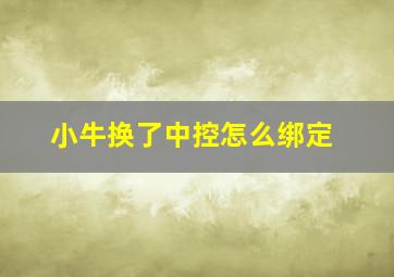 小牛换了中控怎么绑定