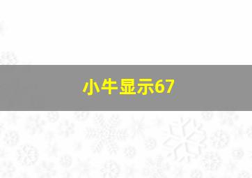 小牛显示67