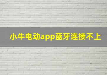 小牛电动app蓝牙连接不上