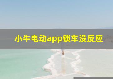 小牛电动app锁车没反应