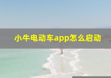 小牛电动车app怎么启动