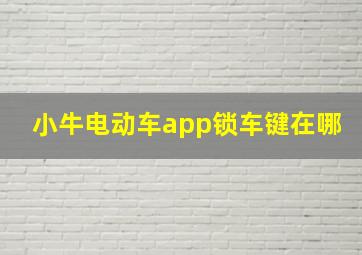 小牛电动车app锁车键在哪