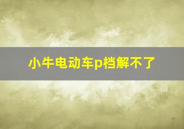 小牛电动车p档解不了