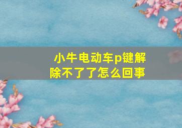 小牛电动车p键解除不了了怎么回事