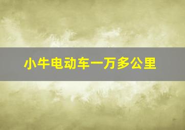 小牛电动车一万多公里