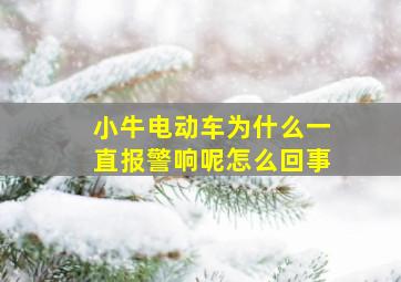 小牛电动车为什么一直报警响呢怎么回事