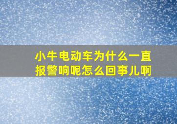 小牛电动车为什么一直报警响呢怎么回事儿啊