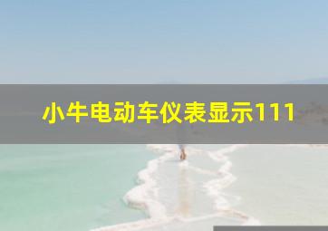 小牛电动车仪表显示111