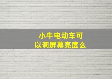 小牛电动车可以调屏幕亮度么