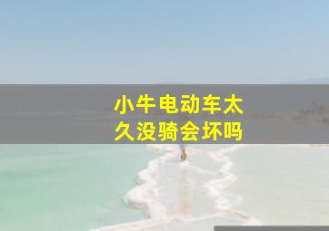 小牛电动车太久没骑会坏吗