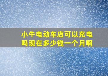 小牛电动车店可以充电吗现在多少钱一个月啊