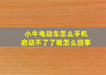 小牛电动车怎么手机启动不了了呢怎么回事