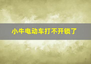 小牛电动车打不开锁了