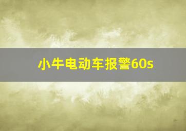 小牛电动车报警60s