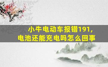 小牛电动车报错191,电池还能充电吗怎么回事