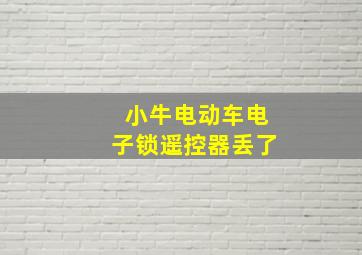 小牛电动车电子锁遥控器丢了