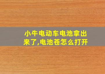 小牛电动车电池拿出来了,电池苍怎么打开