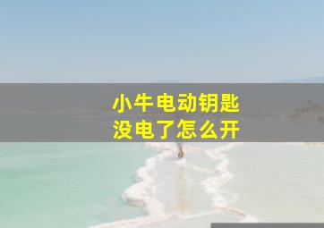 小牛电动钥匙没电了怎么开