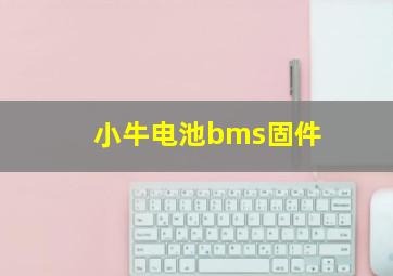 小牛电池bms固件