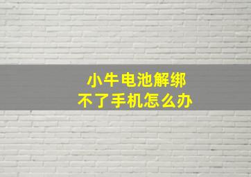 小牛电池解绑不了手机怎么办