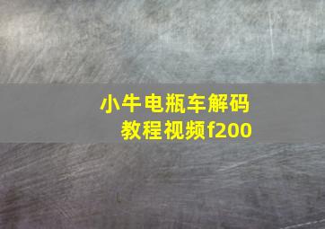 小牛电瓶车解码教程视频f200