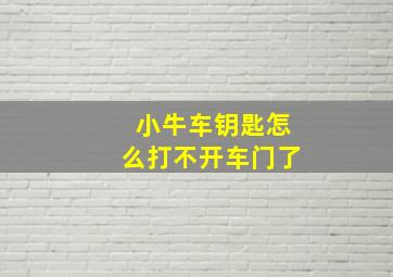 小牛车钥匙怎么打不开车门了