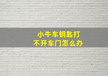 小牛车钥匙打不开车门怎么办