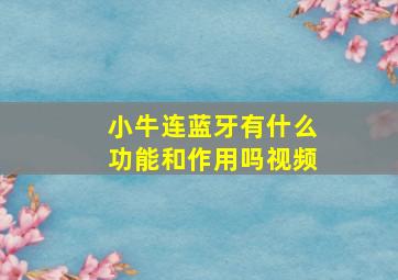 小牛连蓝牙有什么功能和作用吗视频