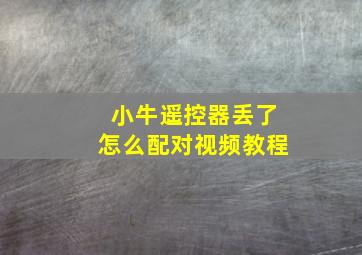 小牛遥控器丢了怎么配对视频教程