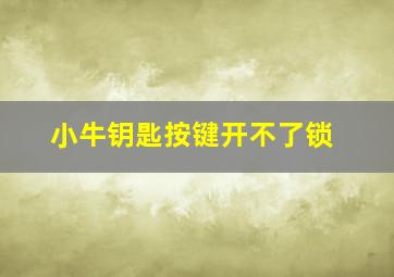 小牛钥匙按键开不了锁