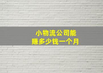 小物流公司能赚多少钱一个月