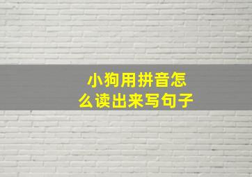 小狗用拼音怎么读出来写句子