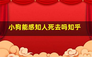 小狗能感知人死去吗知乎