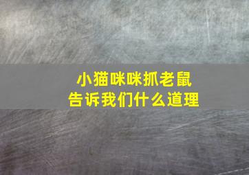 小猫咪咪抓老鼠告诉我们什么道理