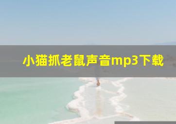 小猫抓老鼠声音mp3下载