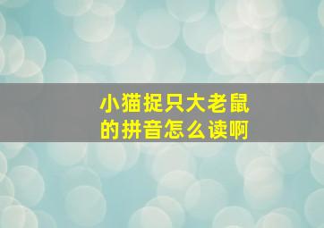 小猫捉只大老鼠的拼音怎么读啊