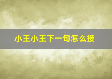 小王小王下一句怎么接