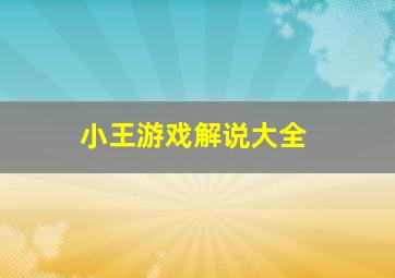 小王游戏解说大全