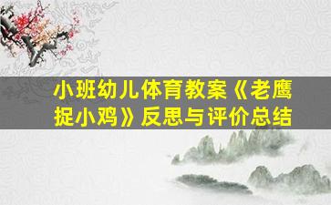 小班幼儿体育教案《老鹰捉小鸡》反思与评价总结