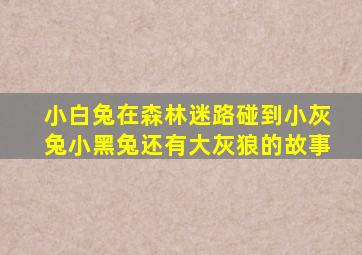 小白兔在森林迷路碰到小灰兔小黑兔还有大灰狼的故事