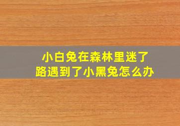 小白兔在森林里迷了路遇到了小黑兔怎么办