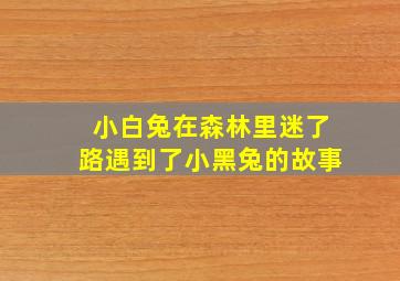 小白兔在森林里迷了路遇到了小黑兔的故事