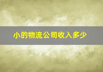 小的物流公司收入多少