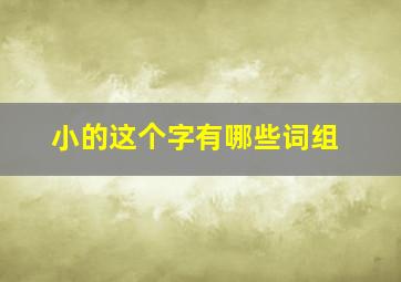 小的这个字有哪些词组