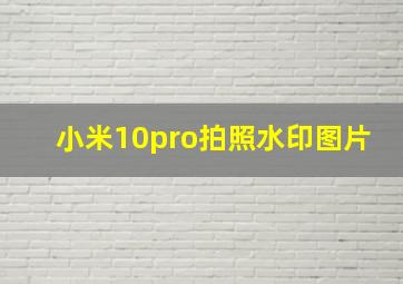 小米10pro拍照水印图片