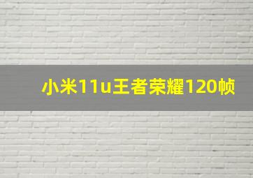 小米11u王者荣耀120帧