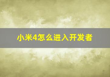 小米4怎么进入开发者