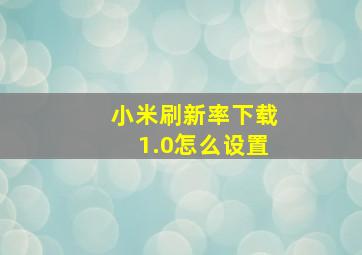 小米刷新率下载1.0怎么设置