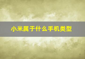 小米属于什么手机类型