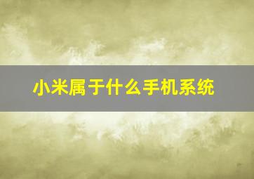 小米属于什么手机系统